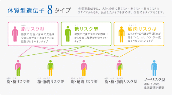 体質的遺遺伝子8タイプ