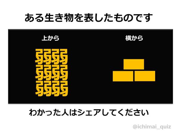 1枚クイズ0 この画像は何 1枚クイズ