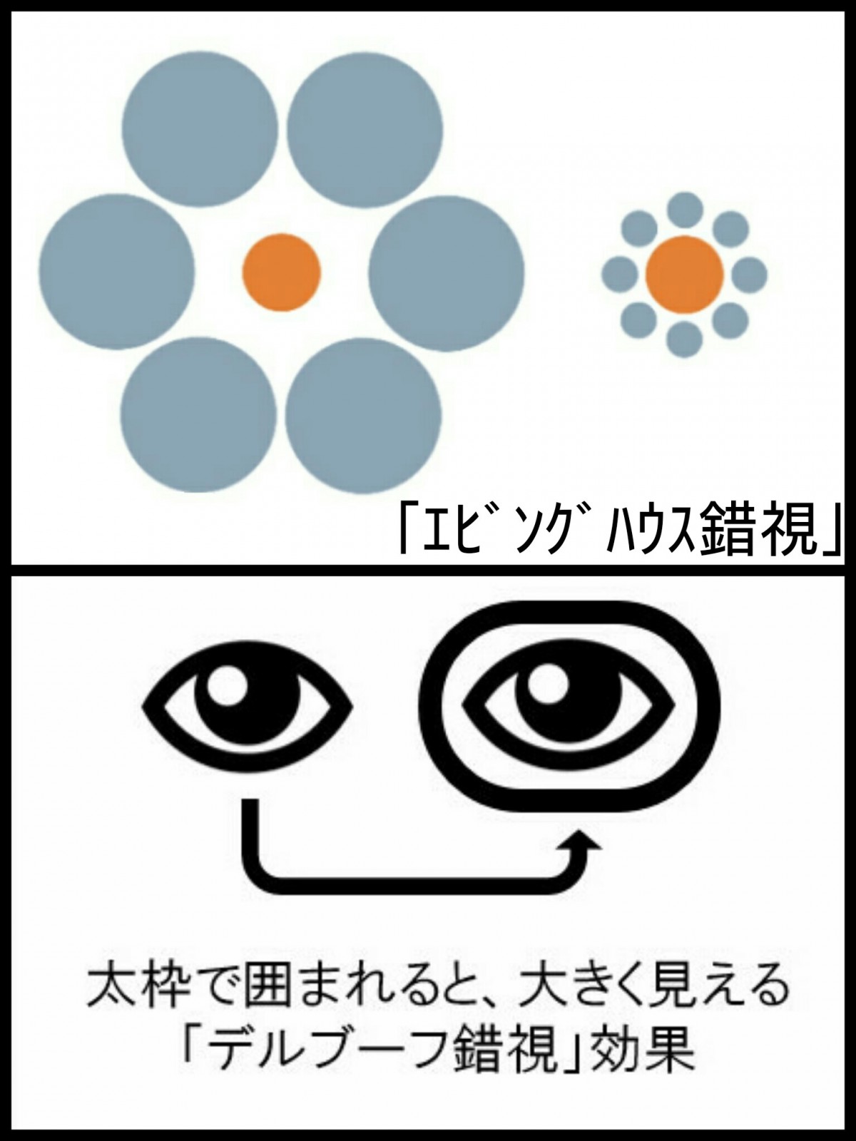 錯覚で小顔効果 第4弾 17 07 10 トリック3dアート湯布院