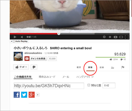 動画の共有