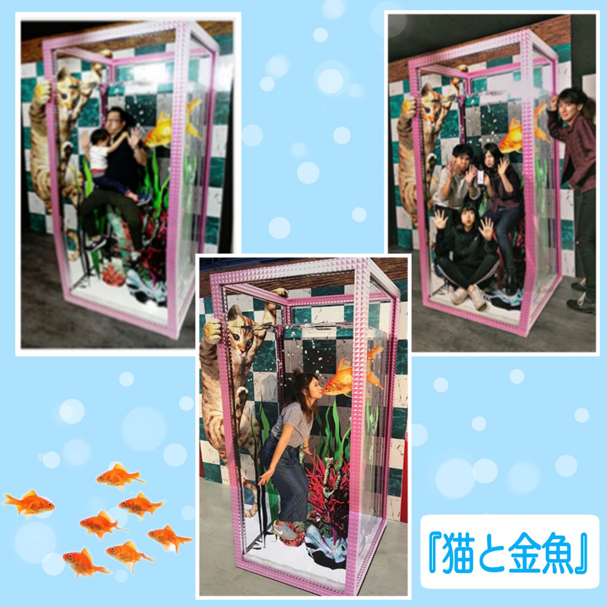 作品色々な撮り方⑩「猫と金魚」2019/05/13  トリック3Ｄアート湯布院