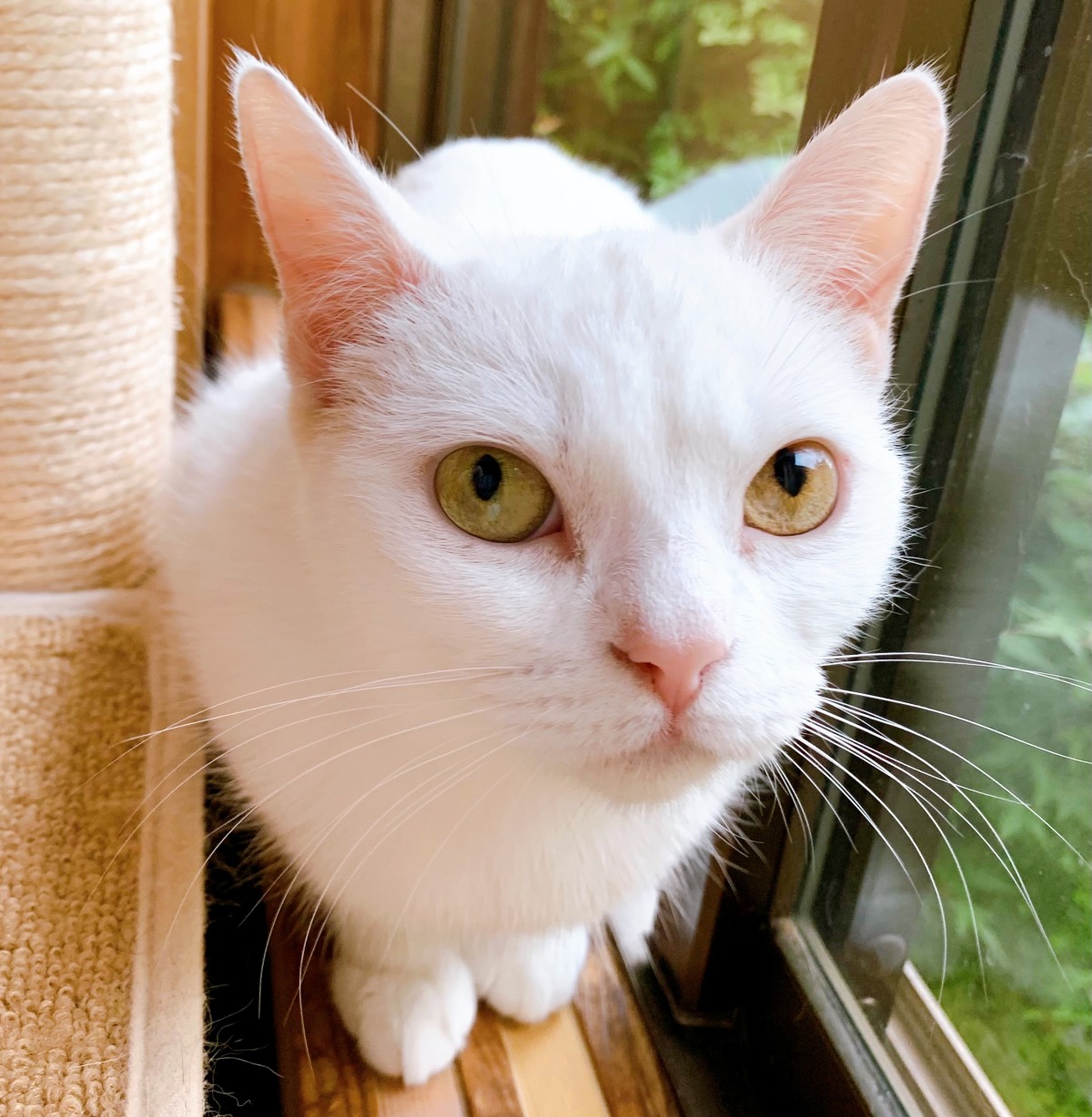 マリー 癒しの空間 湯河原まいきゃっと マリー 癒しの空間 湯河原まいきゃっと