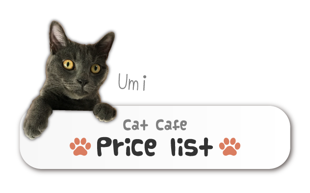 提供サービス 料金 まいきゃっと甲府 山梨県甲府市の老猫ホーム 猫カフェ 提供サービス 料金 まいきゃっと甲府 山梨県甲府市の老猫ホーム 猫カフェ