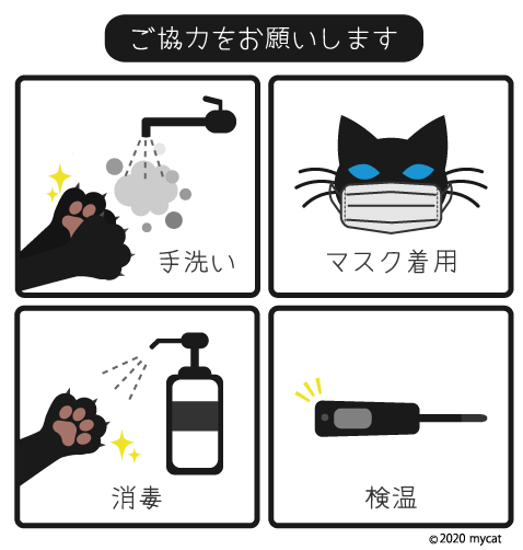 23ページ まいきゃっと甲府 山梨県甲府市の老猫ホーム 猫カフェ