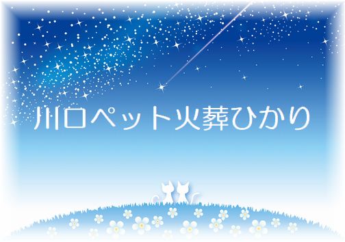 二匹の猫が流れ星を見ている様子。