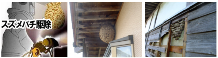 便利屋 近く 水戸市 業者 茨城県