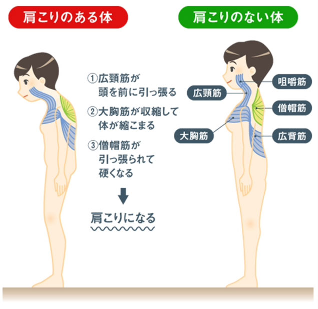 大人の上質 Max シルク ピュア ガザル バイマ Mara シルク トレンチコート Maesa Max Max Sfilata Mara トレンチコート 大人の上質 Max シルク ピュア ガザル バイマ Mara シルク トレンチコート Maesa Max Max Sfilata Mara トレンチコート